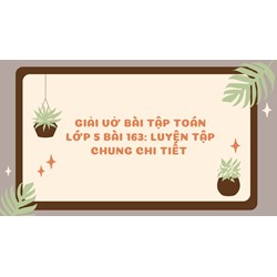 Giải Vở bài tập Toán lớp 5 bài 163: Luyện tập chung chi tiết