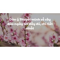 Dàn ý Thuyết minh về cây đào ngày tết đầy đủ, chi tiết nhất
