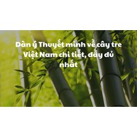 Dàn ý Thuyết minh về cây tre Việt Nam chi tiết, đầy đủ nhất