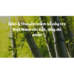 Dàn ý Thuyết minh về cây tre Việt Nam chi tiết, đầy đủ nhất