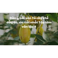 Dàn ý bài văn Tả cây khế đầy đủ, chi tiết nhất Tập làm văn lớp 4
