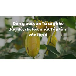 Dàn ý bài văn Tả cây khế đầy đủ, chi tiết nhất Tập làm văn lớp 4