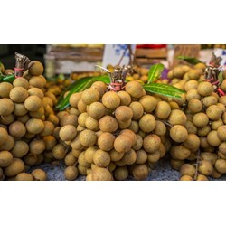 Quả nhãn ăn có tốt cho bà bầu không?