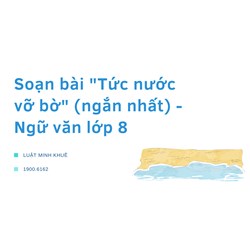Soạn bài "Tức nước vỡ bờ" (ngắn nhất) - Ngữ văn lớp 8