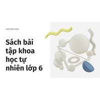 Sách bài tập khoa học tự nhiên lớp 6 (Full 03 Bộ sách)