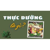 Chế độ ăn thực dưỡng được hiểu như thế nào?