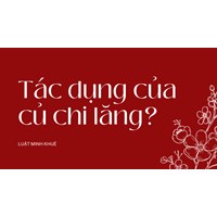 Tác dụng của củ chi lăng?
