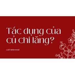 Tác dụng của củ chi lăng?
