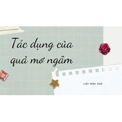 Tác dụng của quả mơ ngâm
