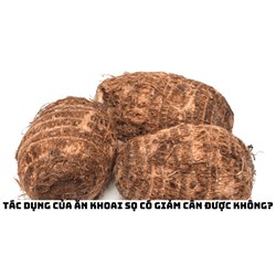 Tác dụng của ăn khoai sọ có giảm cân được không?