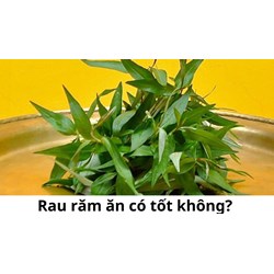 Rau răm ăn có tốt không?