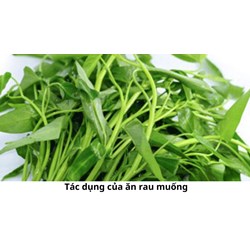 Tác dụng của ăn rau muống