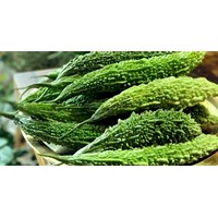 Mướp đắng có tốt cho mẹ bầu và phụ nữ đang cho con bú ?