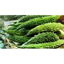 Mướp đắng có tốt cho mẹ bầu và phụ nữ đang cho con bú ?