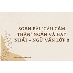Soạn bài "Câu cảm thán" ngắn và hay nhất - Ngữ văn lớp 8