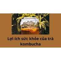 Những lợi ích sức khỏe dựa trên bằng chứng của trà kombucha