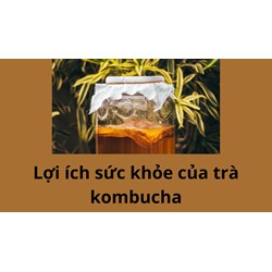Những lợi ích sức khỏe dựa trên bằng chứng của trà kombucha