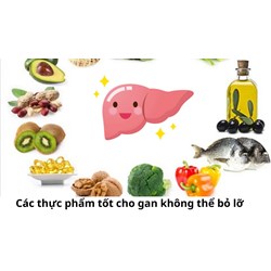 Các thực phẩm tốt cho gan không thể bỏ lỡ