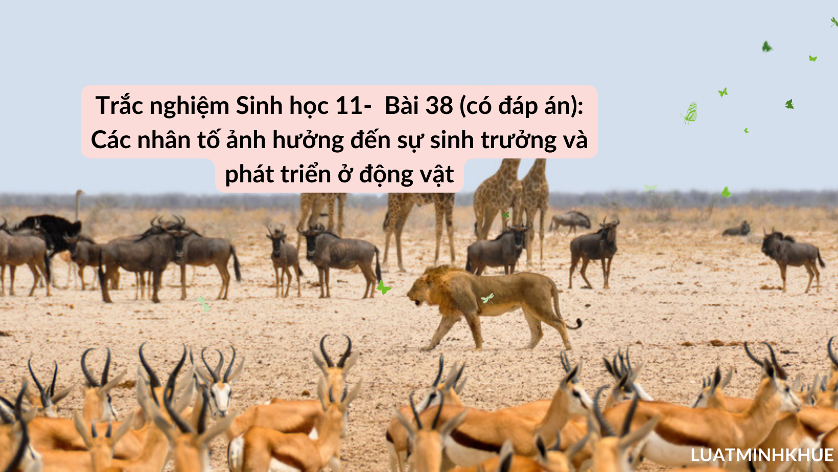 Sinh 11 trắc nghiệm: Ôn tập và kiểm tra hiệu quả với bộ câu hỏi chuẩn