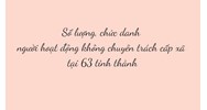 Số lượng, chức danh người hoạt động không chuyên trách cấp xã tại 63 tỉnh thành