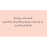 Số lượng, chức danh người hoạt động không chuyên trách cấp xã tại 63 tỉnh thành