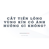 Cắt tiền lông vùng kín có ảnh hưởng gì không ?