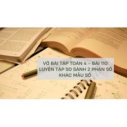 Luyện tập So sánh hai phân số khác mẫu số (Vở bài tập Toán 4 - bài 110)