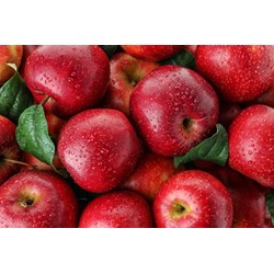 Nên ăn mấy quả táo 1 ngày mới tốt ?