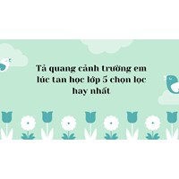 Tả quang cảnh trường em lúc tan học lớp 5 chọn lọc hay nhất