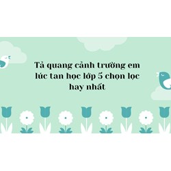 Tả quang cảnh trường em lúc tan học lớp 5 chọn lọc hay nhất