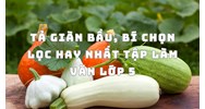 Tả giàn bầu, bí chọn lọc hay nhất Tập làm văn lớp 5
