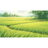 Tả cánh đồng lúa đang thì con gái lớp 5