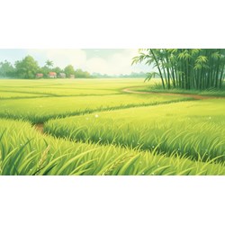 Tả cánh đồng lúa đang thì con gái lớp 5