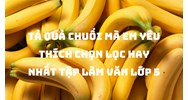 Tả quả chuối mà em yêu thích chọn lọc hay nhất Tập làm văn lớp 5