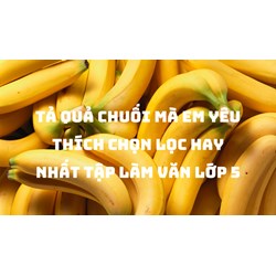 Tả quả chuối mà em yêu thích chọn lọc hay nhất Tập làm văn lớp 5