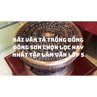 Bài văn Tả trống đồng Đông Sơn chọn lọc hay nhất Tập làm văn lớp 5