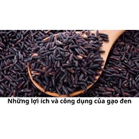 Những lợi ích và công dụng của gạo đen