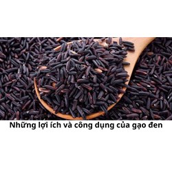 Những lợi ích và công dụng của gạo đen