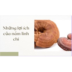 Những lợi ích của nấm linh chi