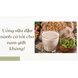 Uống sữa đậu nành có tốt cho nam giới  không?