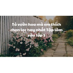 Tả vườn hoa mà em thích chọn lọc hay nhất Tập làm văn lớp 5