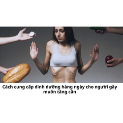 Cách cung cấp dinh dưỡng hàng ngày cho người gầy muốn tăng cân