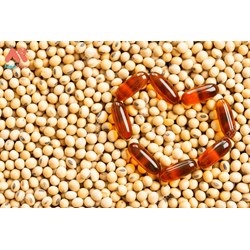 Lợi ích của Lecithin đối với sức khỏe