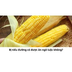 Bị tiểu đường có được ăn ngô luộc không?
