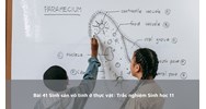 Bài 41 Sinh sản vô tính ở thực vật: Trắc nghiệm Sinh học 11