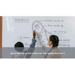 Bài 41 Sinh sản vô tính ở thực vật: Trắc nghiệm Sinh học 11
