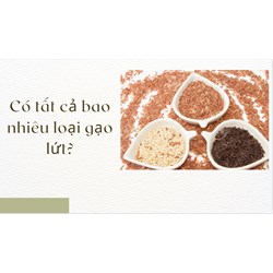 Có tất cả bao nhiêu loại gạo lứt?