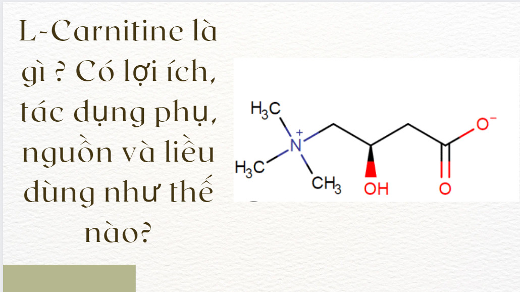 l carnitine là gì L-Carnitine là gì ? Có lợi ích, tác dụng phụ, nguồn và liều dùng như thế  nào?