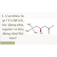 L-Carnitine là gì ? Có lợi ích, tác dụng phụ, nguồn và liều dùng như thế nào?