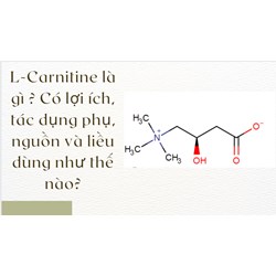 L-Carnitine là gì ? Có lợi ích, tác dụng phụ, nguồn và liều dùng như thế nào?